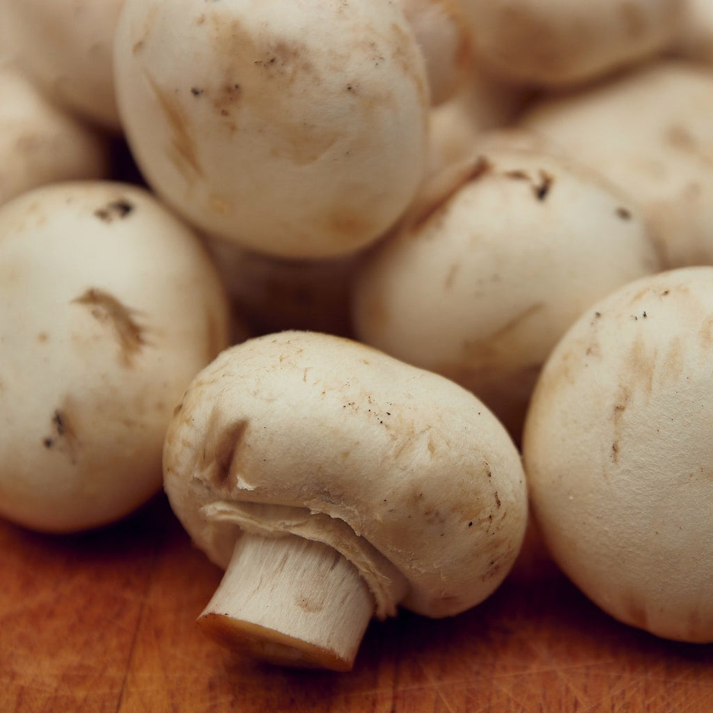 closeup of white mushrooms